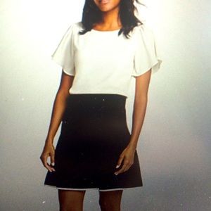 Ann Taylor Knit Skirt